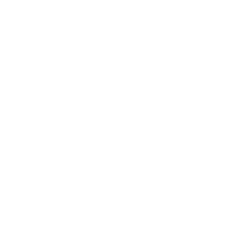 Iwsa